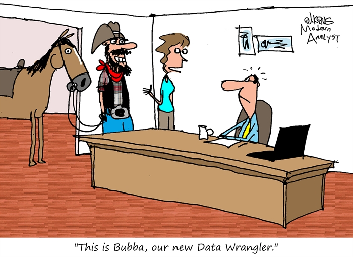 Humor - Cartoon: Data Wrangler